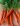 products-carrot.jpg